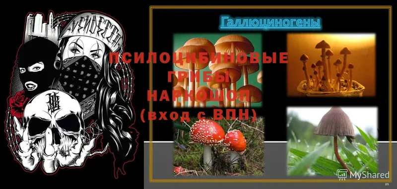 как найти закладки  Еманжелинск  ОМГ ОМГ сайт  Псилоцибиновые грибы Magic Shrooms 